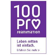Logo 100Pro